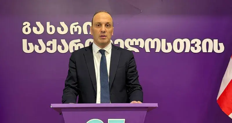 ლევან გოგიჩაიშვილი: „ლელო-ძლიერი საქართველოს“ გადაწყვეტილება სწორია და ამას მხარს ვუჭერ - საერთო, ნეიტრალური კანდიდატები უნდა დავაყენოთ