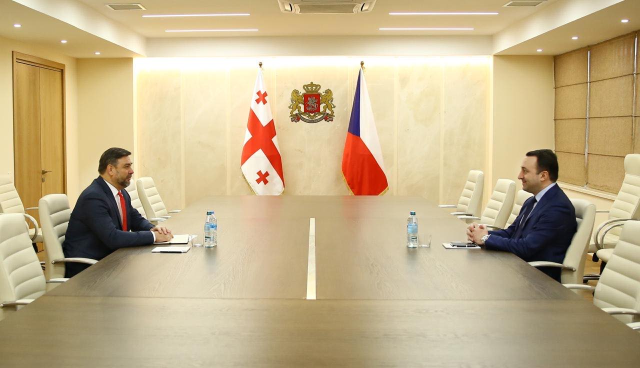 ირაკლი ღარიბაშვილი ჩეხეთის რესპუბლიკის ელჩს შეხვდა