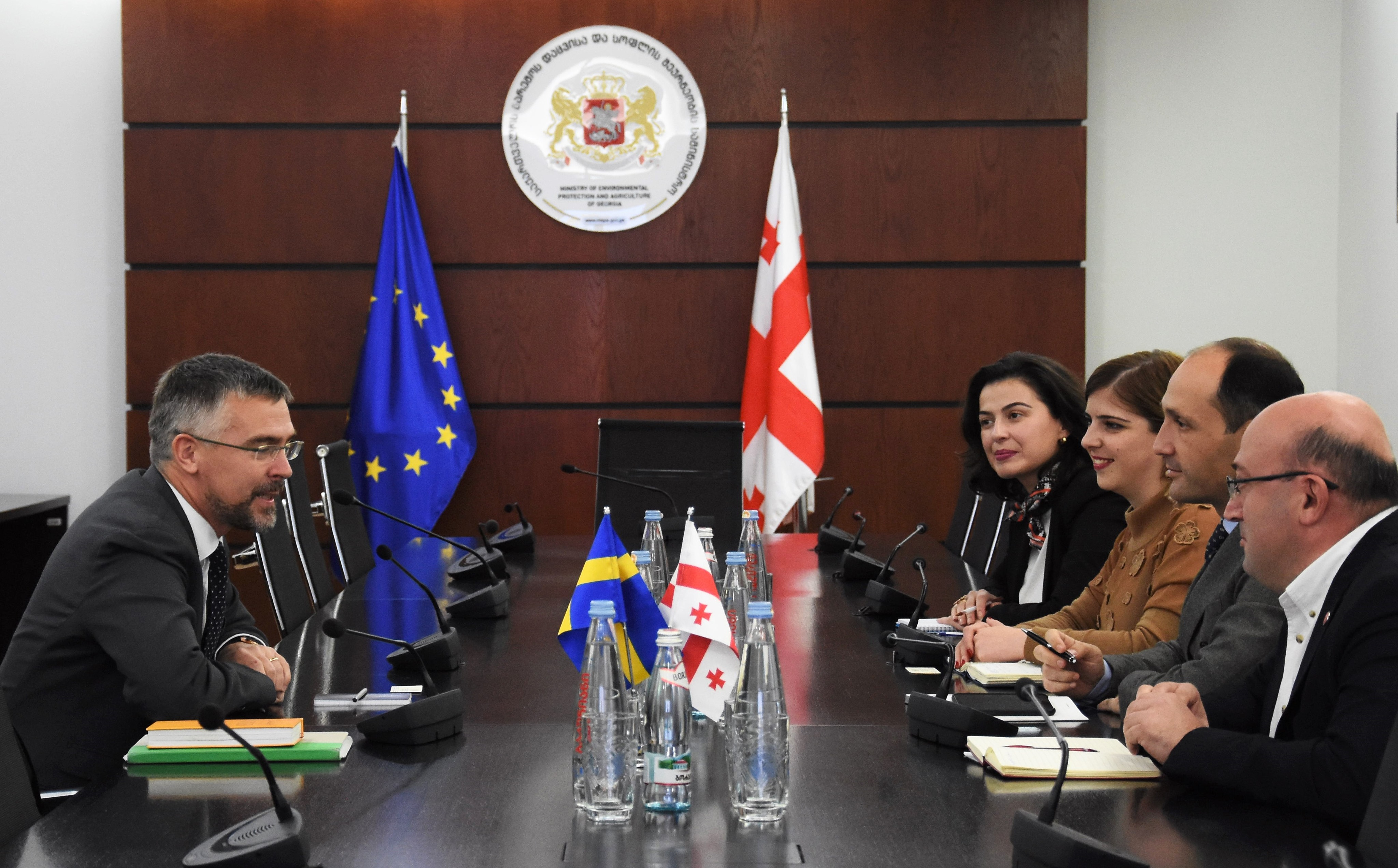 ლევან დავითაშვილი შვედეთის სამეფოს ელჩს საქართველოში ულრიკ თიდესტრომს შეხვდა