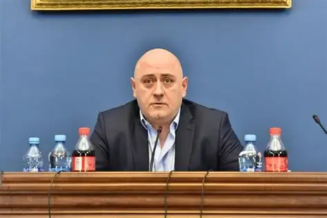 «Гахария – За Грузию» покинул один из лидеров партии Дмитрий Цкитишвили