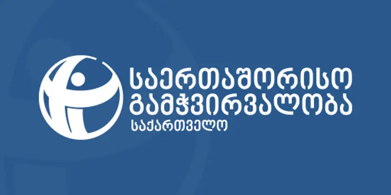 Transparency International: у каждого второго депутата «Грузинской мечты» бизнес-интересы