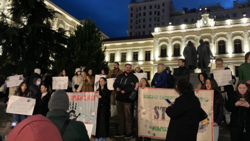 თბილისში აქცია “შეაჩერე ცხოველებზე ძალადობა” გაიმართა