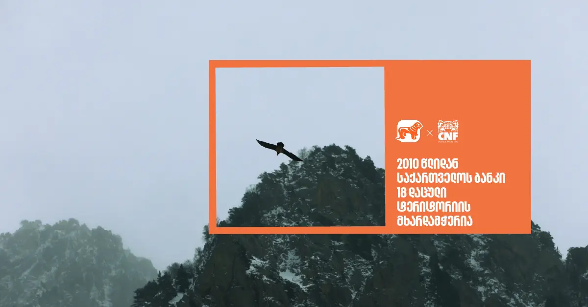 საქართველოს ბანკი 2010 წლიდან 18 დაცული ტერიტორიის მხარდამჭერია