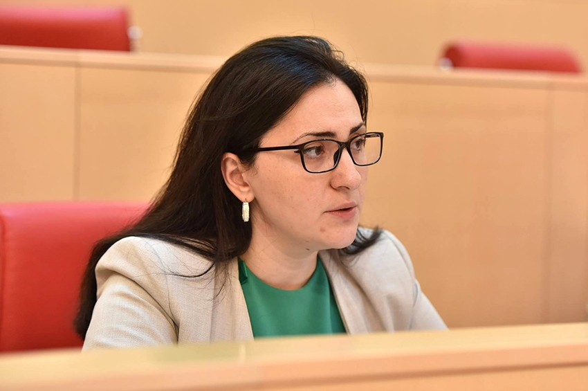 ადამიანის უფლებათა დაცვის კომიტეტის თავმჯდომარე: "ოპოზიცია ჯოჯოხეთში მოხვდება"