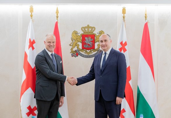 თავდაცვის მინისტრმა უნგრელ კოლეგას უმასპინძლა