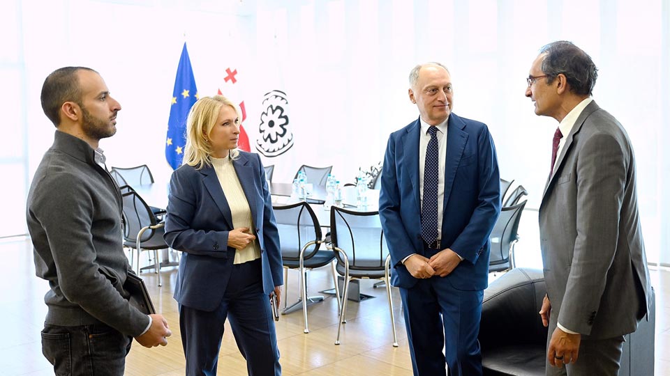ნათია თურნავა IMD-ს წარმომადგენელს შეხვდა