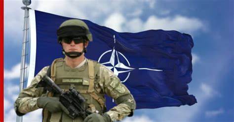 Германия не планирует отправлять своих военнослужащих в Украину