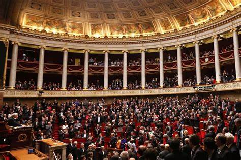В парламенте Франции обеспокоены угрозой вмешательства со стороны Китая и РФ