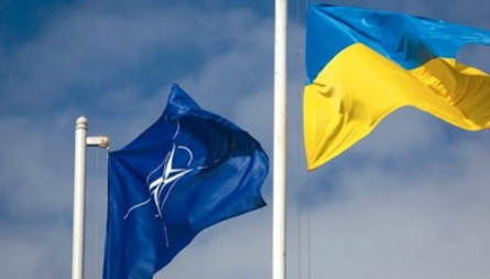 Латвия поддерживает предоставление Украине Плана действий по членству в НАТО