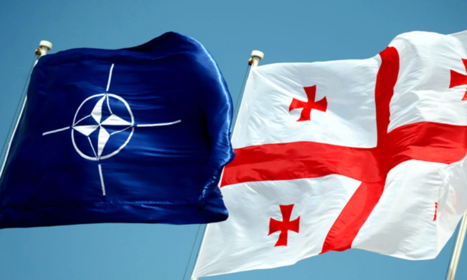 Все парламентские партии Грузии выразили поддержку членству страны в НАТО