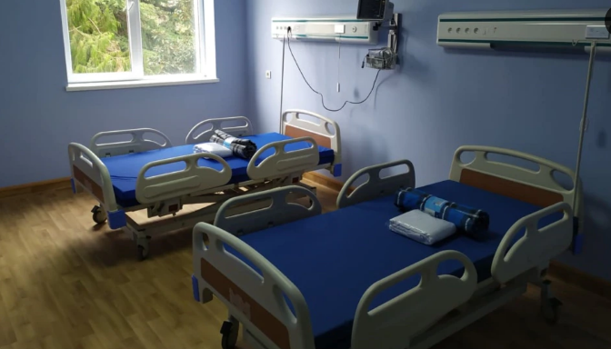 COVID-19 в Грузии: 2460 новых случаев, 20 пациентов скончались