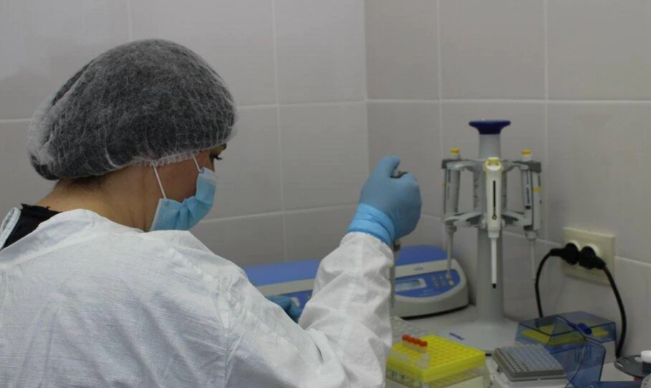 За сутки в Южной Осетии выявили 87 новых случаев заболевания COVID-19
