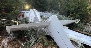В Австрии разбился самолет, летевший из Хорватии, есть погибшие
