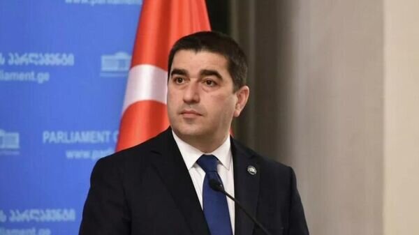 Спикер грузинского парламента осудил евродепутатов за поддержку протестующих