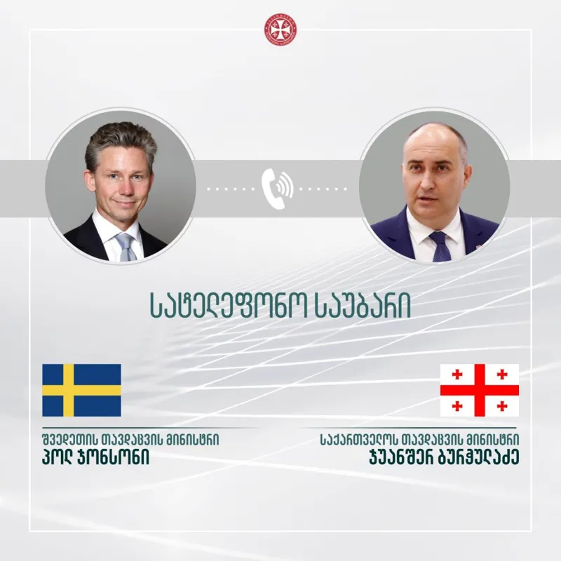 რა საკითხები განიხილა საქართველოს თავდაცვის მინისტრმა შვედ კოლეგასთან