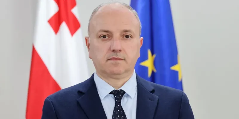 Первым замминистра регионального развития Грузии назначен Леван Зауташвили